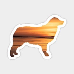 Australian Shepherd Sunset Magnet