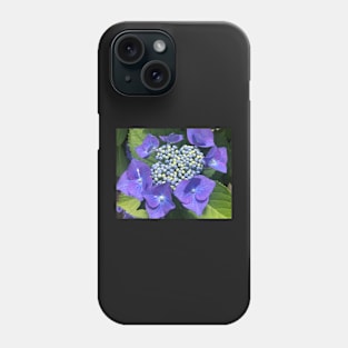 Open Hearted Blue Hydrangea Phone Case