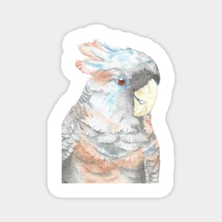 Baby gang-gang cockatoo watercolor portraint painting Magnet