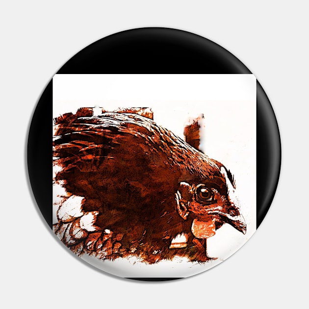 ANGRY CHICKEN Pin by JOHN COVERT ILLUSTRATIONS