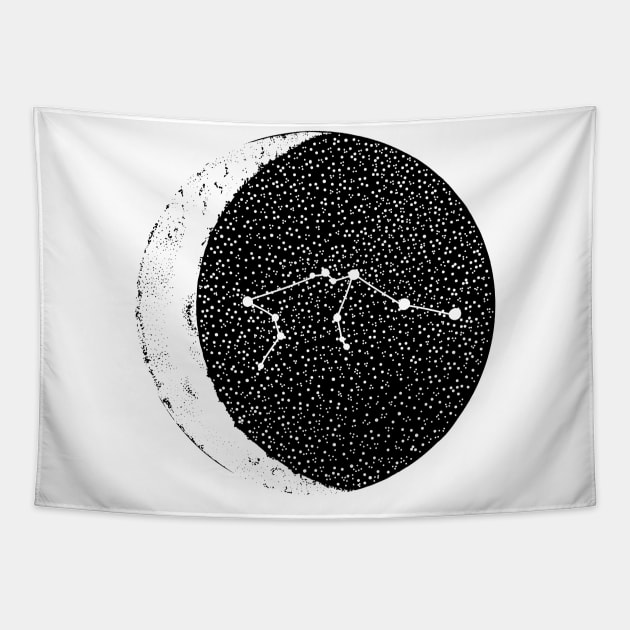 Aquarius Tapestry by ckai