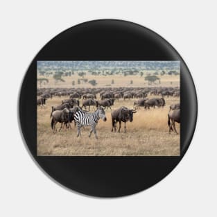 Hitching A Ride With The Great Migration Pin