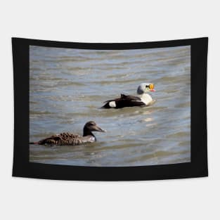 Eiders Tapestry