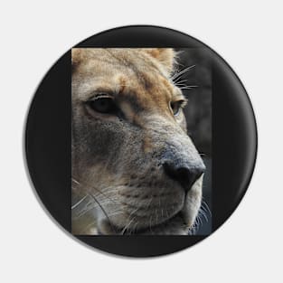 Lioness Pin