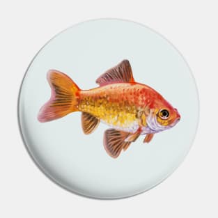 Goldfish 3 painting Pin