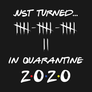 Just Turned 17 In Quarantine Humor Birthday T-Shirt