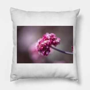 Pink dune flower Pillow