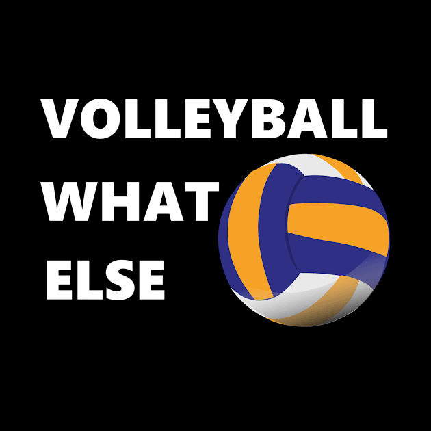 Sport Volleyball Team Game Libero by Wikstroem