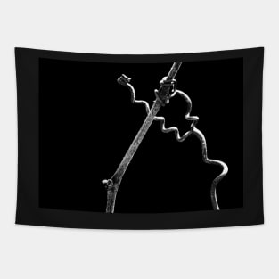 Nature's Abstract ~ The Javelin Thrower Tapestry