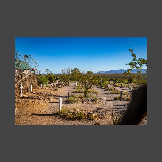 Allen Street in Tombstone, Arizona by Gestalt Imagery