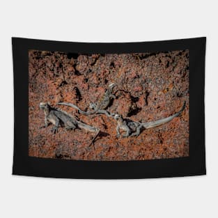 Marine Iguana, Isla Rabida, Galapagos Islands Tapestry