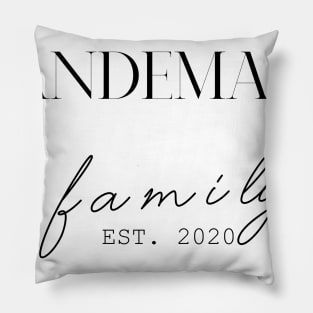 Vandemark Family EST. 2020, Surname, Vandemark Pillow