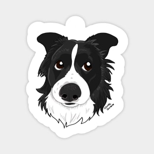 Border Collie Magnet