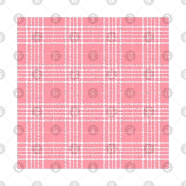 Pink and White Tartan Plaid Pattern by teezeedy