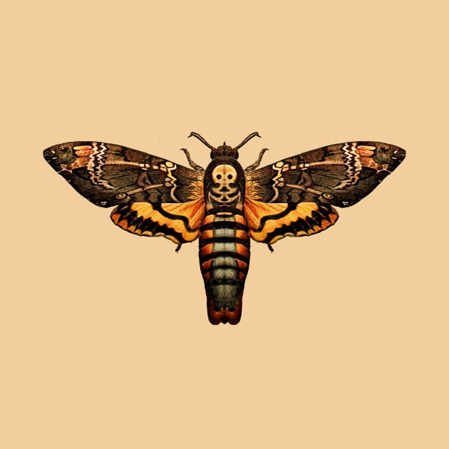 Deaths Head Hawkmoth by visionarysea