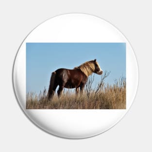 Assateague Beach Ponies Series - 03 Pin