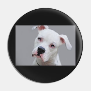 Canine Portrait Pin