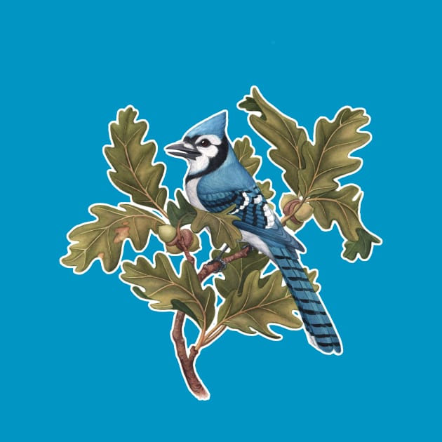 Blue Jay by JadaFitch
