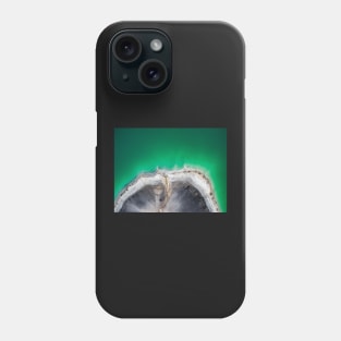 Emerald lake top view Phone Case