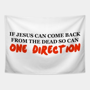 IF JESUS CAN COME BACK FROM THE DEAD SO CAN ONE DIRECTION Tapestry