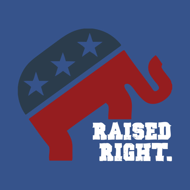 raise the flag indians shirt