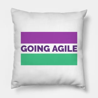 Let's Go Agile Pillow