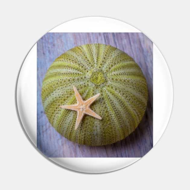 Sea Urchin With Starfish Pin by photogarry