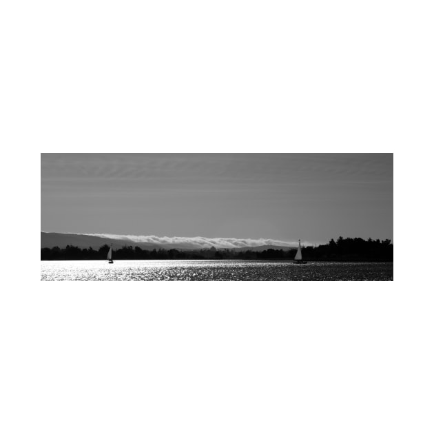 Sailboats on Shoreline Lake. Mountain View, California 2011 by IgorPozdnyakov