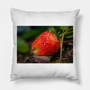 Strawberry 3 Pillow