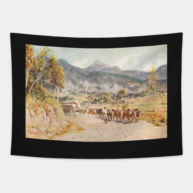 Timber hauling Mount Warning circa 1915 Tapestry by artfromthepast