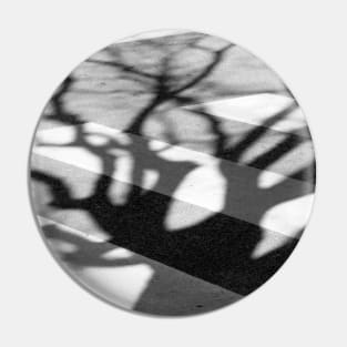 zebra crossing, tree shadow Pin