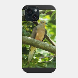 Mourning Dove Perched In a Tree Phone Case