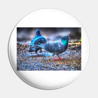 Pigeons Pin