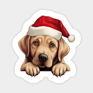 Christmas Peeking Labrador Retriever Dog Magnet