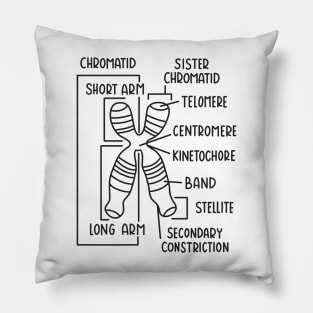 Hand Drawn Chromosome Labeled Black Pillow