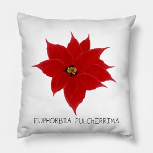 Red Poinsetta Genus Print Pillow