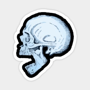 skull Magnet