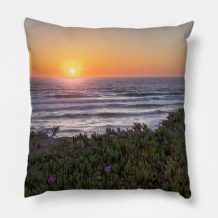 Sand Dunes and Plants during Sunset at the Beach Pillow