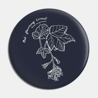 Red-flowering Currant line art Pin