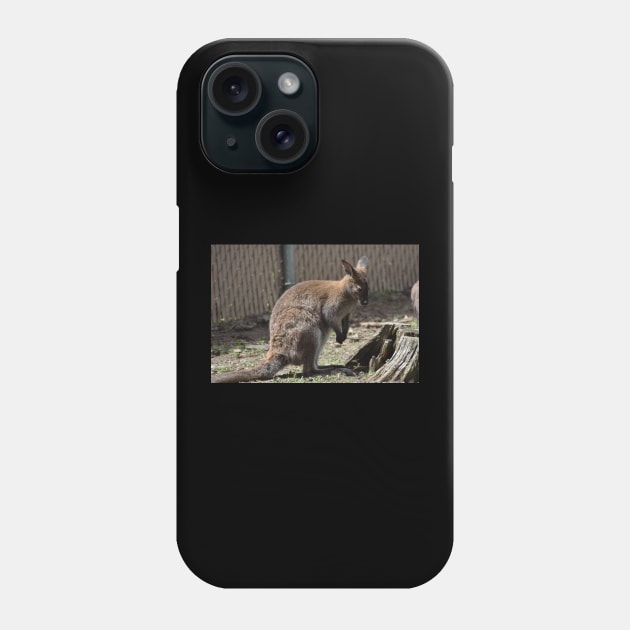 Wallaby Phone Case by MarieDarcy