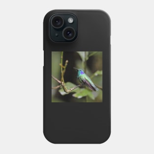 Green Violetear Hummingbird Phone Case