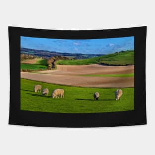 England's Berkshire Downs In Springtime Tapestry