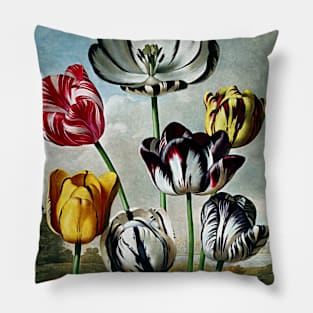 Botanical Art Temple Of Flora Tulips Pillow