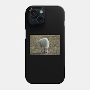 White Bison Phone Case