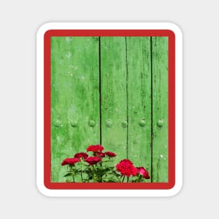 Red Roses. Green Door Magnet