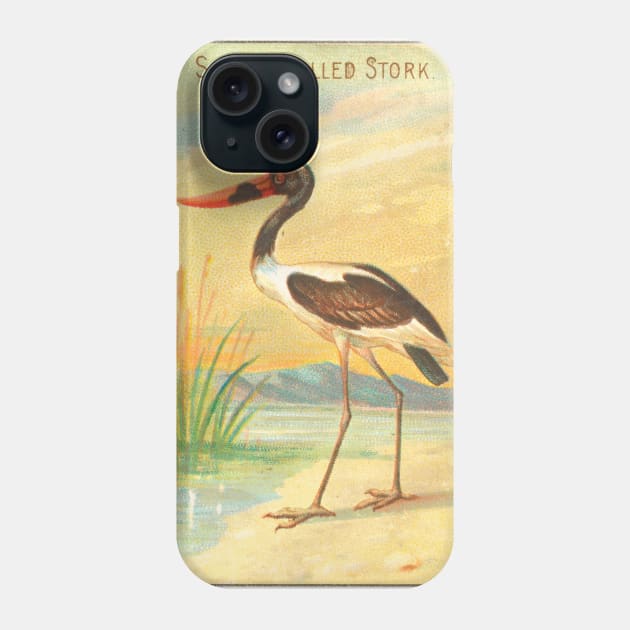 Saddle-Billed Stork Phone Case by WAITE-SMITH VINTAGE ART