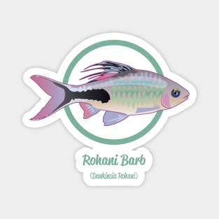 Rohani Barb Magnet