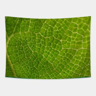 Leaf Scales Tapestry