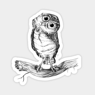 CORUJA / OWL Magnet