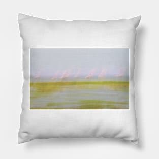 Pink and green hues nature abstract of pink flamingos in wetland Namibia. Pillow